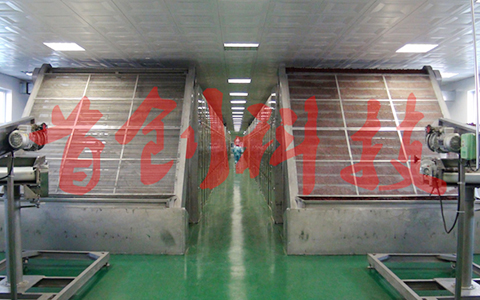 网带式辣椒烘干机