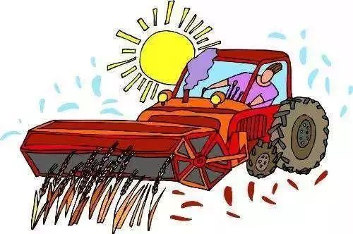 红枣烘干机